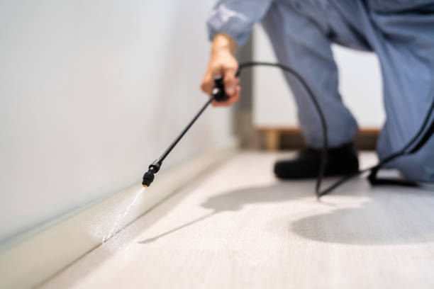 Licensed Cockroach Control service in Meridianville, AL - Nex Pest Control