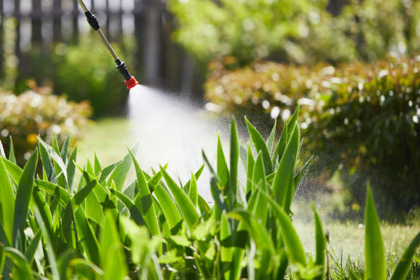24/7 Emergency Cockroach Control experts in Meridianville, AL