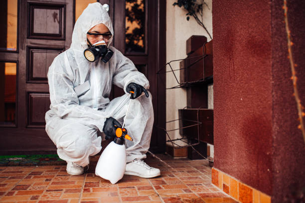 Reliable Cockroach Control contractor in Meridianville, AL by Nex Pest Control