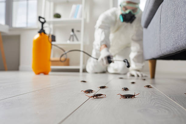 Trusted Cockroach Control service in Meridianville, AL - Nex Pest Control